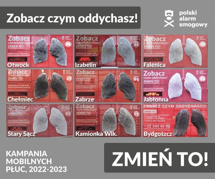 Smog a płuca — jak zanieczyszczenia uszkadzają układ oddechowy?