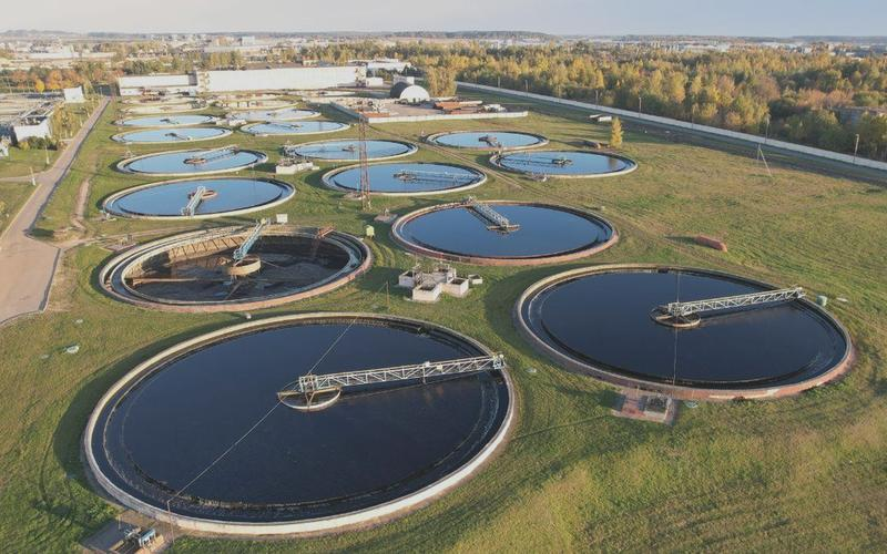 Efektywność preparatów biopreparatów