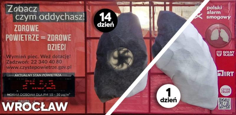 Wpływ pyłów PM10 i PM2,5